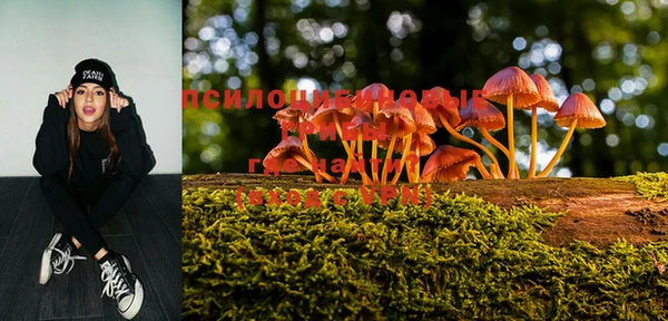 PSILOCYBIN Бородино