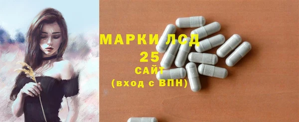PSILOCYBIN Бородино