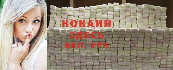 PSILOCYBIN Бородино
